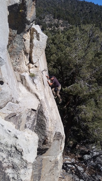Jorden Darr pulling onto the slab of Branch Out!
