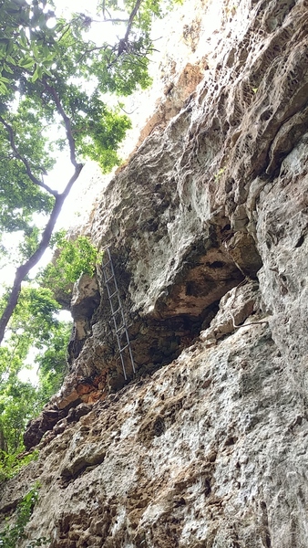 climb the ladder and move way left