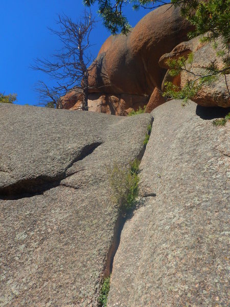 The first pitch crack with a dead tree.