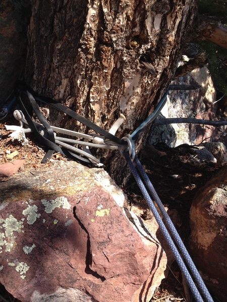 The anchor.