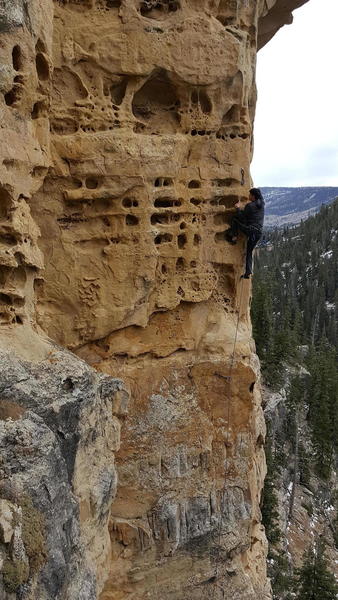Felix has traversed right to more solid rock (where the bolts are) and begins the crux moves. Most people clip from here.