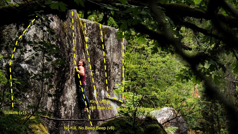 The downhill face of the King of the Hill Boulder. Jake Love working his way up No Kill, No Beep Beep (v8)