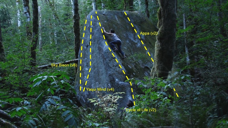 The Sky Bison Boulder. Jake Love walks up the slab problem Cycle of Life (v2).