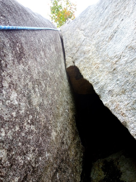 Right option at top of Magic Fern.
