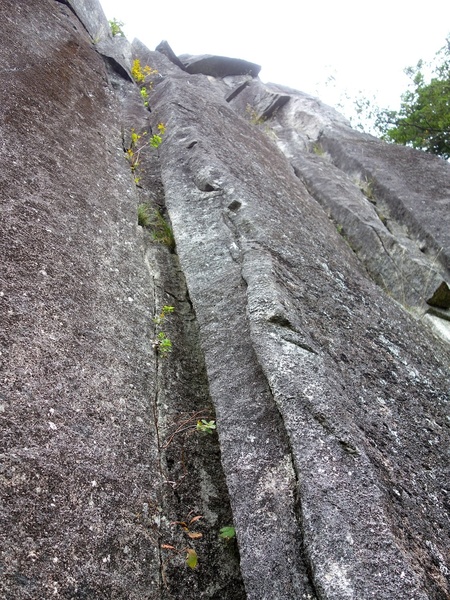 Left crack option on Pitch 3. Also can climb the crack about 10 feet to the right (I took the right option).