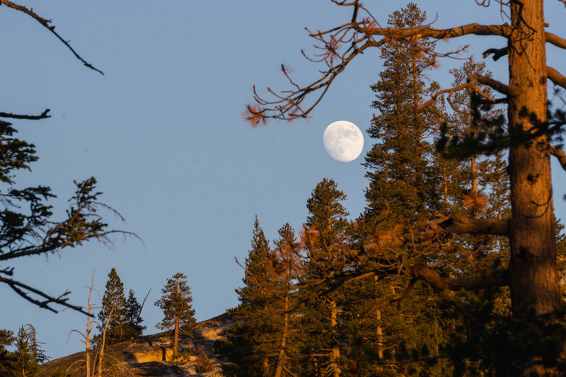 Moonrise.
<br>
<br>
Photo by Dalton Johnson
<br>
www.daltonjohnsonmedia.com
<br>
@daltonjohnsonmedia