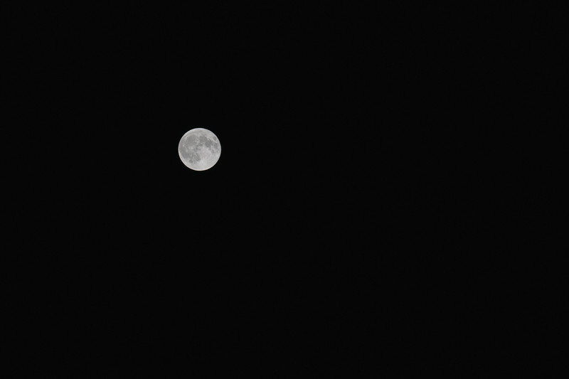 Full Moon in the Sierras
<br>
<br>
Photo by Dalton Johnson
<br>
www.daltonjohnsonmedia.com
<br>
@daltonjohnsonmedia
