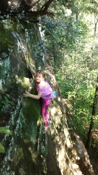My trail worker getting a lap in.