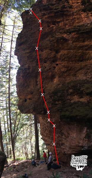 Topo of One Tuff Cookie