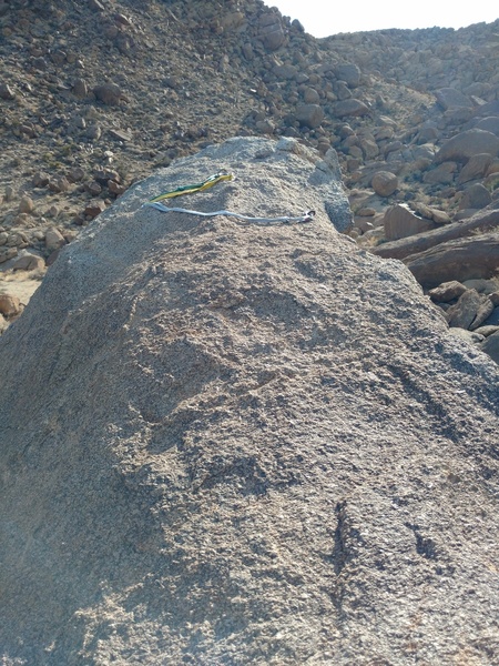 View of tat as of October 15, 2018.