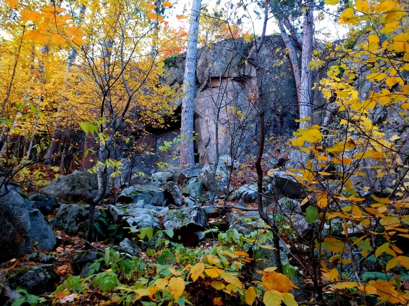Showing the FFR from down hill by the boulder