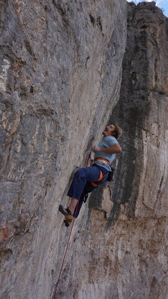 And the pitch. Photo: Jilian Wereb
