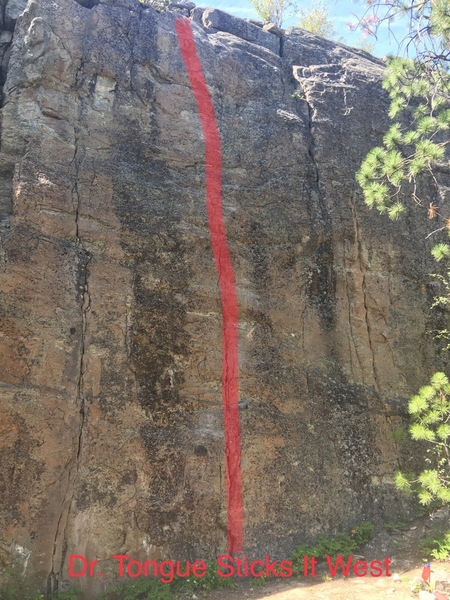 Dr. Tongue Sticks It West