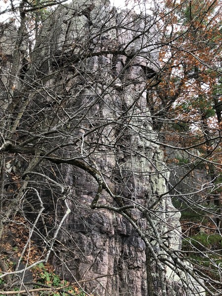 Bad picture, But from the edge on the right follow the crack that is 4 feet left of that edge.