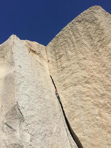 starting into the chimney
