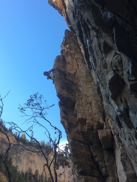 Shane climbing the arete.