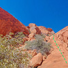 Left NNW into gully along W side of Stone Sweet Ridge of Calico Peak:<br>
* blue = main route<br>
* green = easier variations