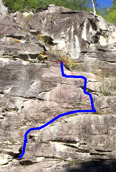 Topo
