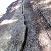 Looking up MW Crack.