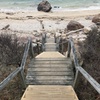 Stairs leading down to beach.