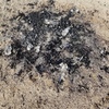 Fire left in parking lot. As you can see there are tons of nails in the fire-ring. NOT COOL!