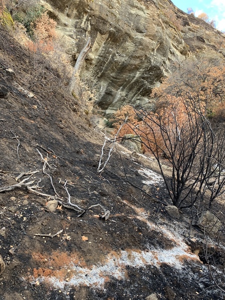 Approach and surrounding areas were completely burned in August. This was taken on Thanksgiving, 2018. Smelled like a campfire but rock/bolts were fine from what we saw!