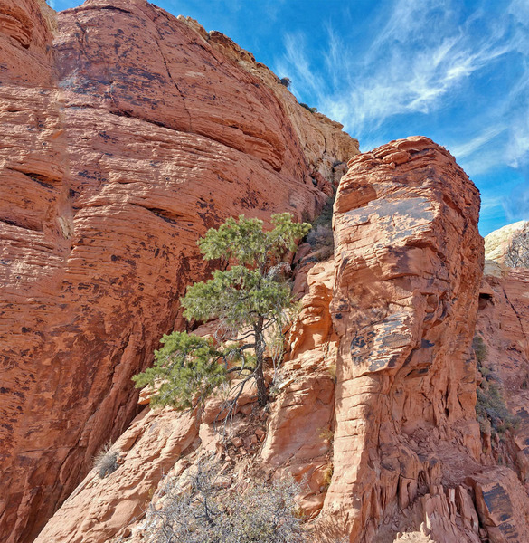 up to middle mini-buttress along R side of narrow gully toward Calico South Viewpoint
