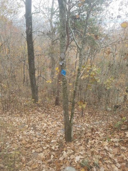 After picking up the trail south of Knob Wall, keep an eye out for one of these blue signs to lead you down to New Wall