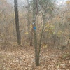 After picking up the trail south of Knob Wall, keep an eye out for one of these blue signs to lead you down to New Wall