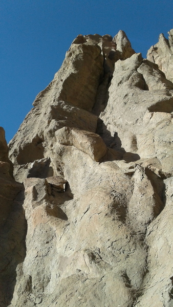 upper s face