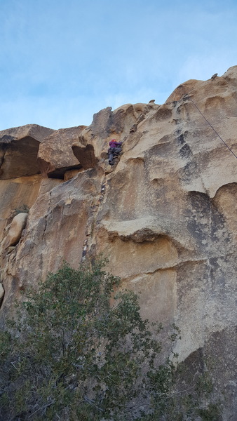 Hannah climbing into the grainy section.