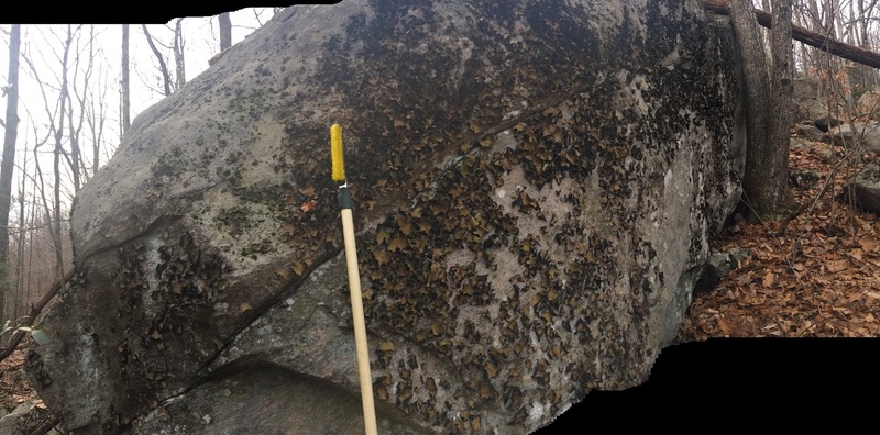 Uphill traverse wall. Better photo to come.