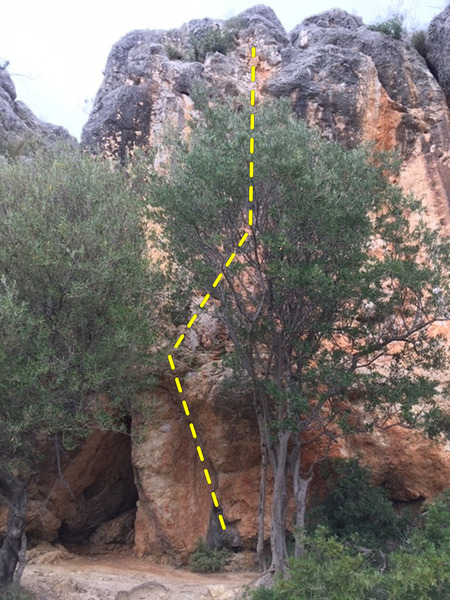 Lucas: start left of the tree