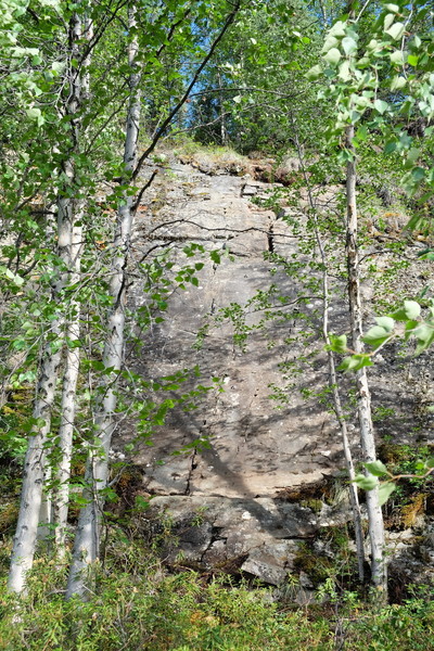 Silver Trail in summer