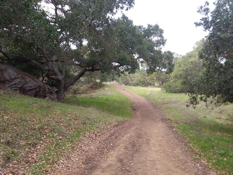 You cannot see it from the trail. Once you get to the boulder in the left of this photo go off trail about 30 yards to the right.