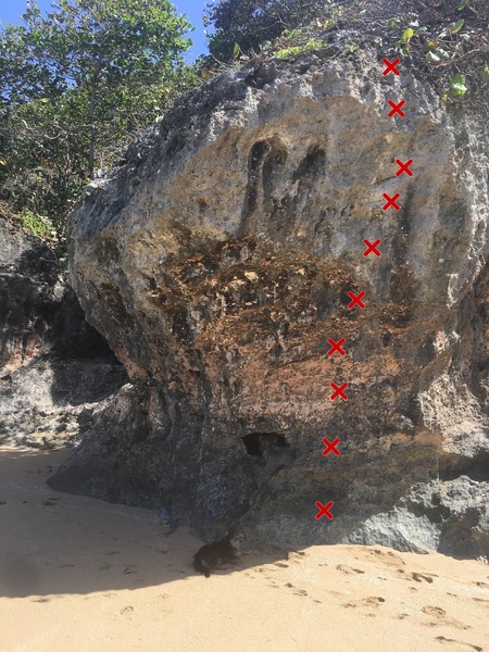 Wave Rock - Crab Claw