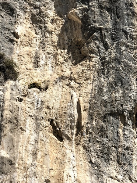 A drippy, candle-wax tufa alongside a pinchable rib.