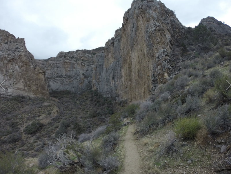 Limekiln Canyon. Right out of Mesquite Nv.