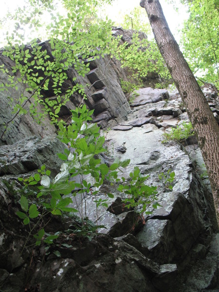 Looking up at Walker Thumb routes. The inverted staircase feature is marked in another photo of the thumb from the west.