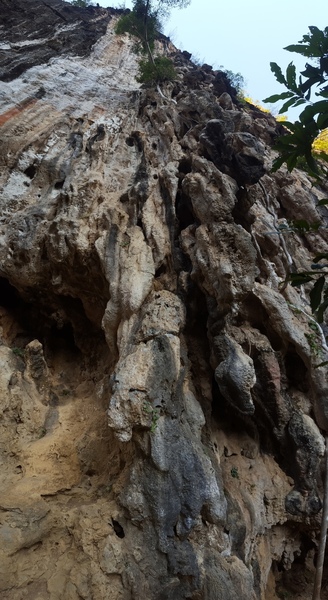 follow the massive feature in the middle of the photo all the way to the top.