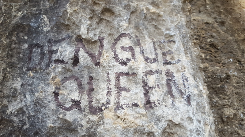 Dengue Queen is an enjoyable route that climbs 100 feet up the main feature on the wall.