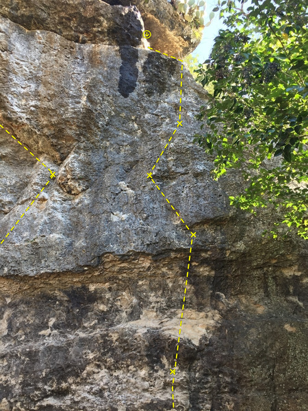 Poison Ivy which shares chains with Unbound which is to the right. On the left is one bolt from Use the Force Luke.