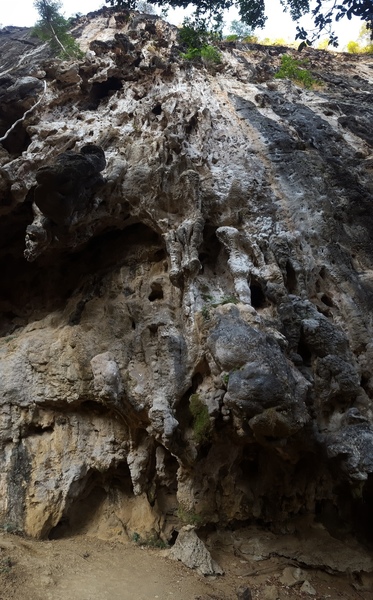 Enjoy this hundred foot line straight up the center of the photo.