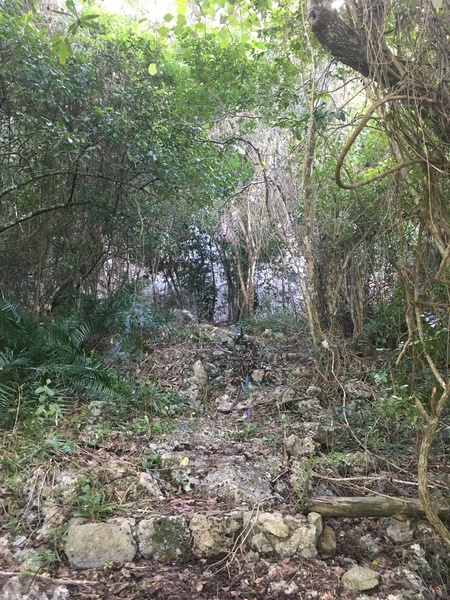 The hiking trail at the base of the cliffs