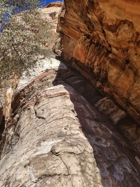 Start of P1, with cave in the lower right. 2/1/2019
