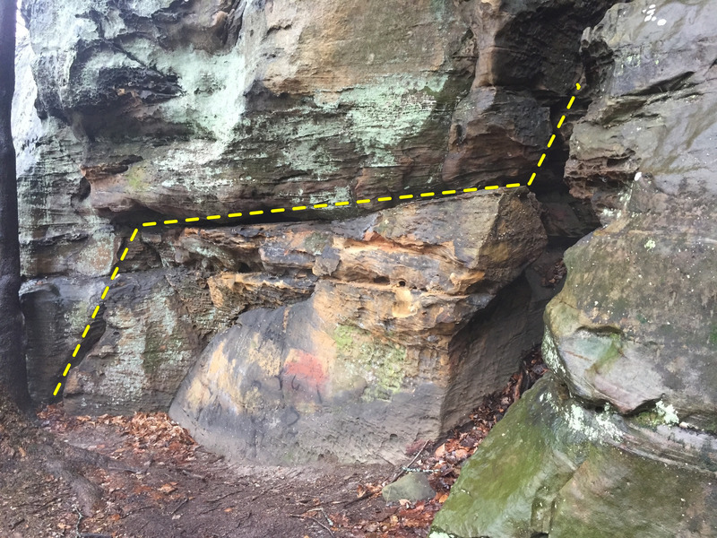 Fledglings next Traverse