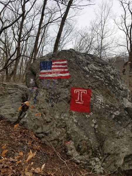 I don't know who A.D. is that graduated from DWHS in '17 and goes to Temple and is in Sigma Sigma Sigma...but fuck them for painting the rocks with identifying information.