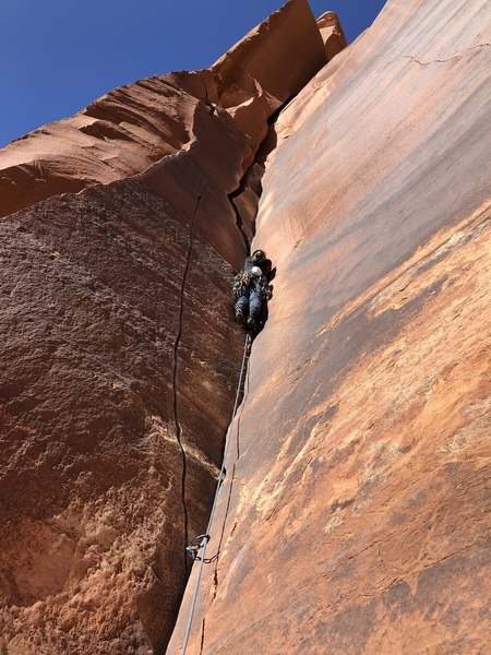 @theclimbingjuju resting on a little ledge
