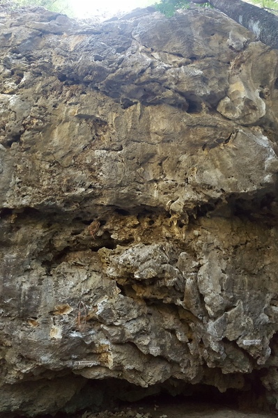 Like its neighboring routes all these climbs share a short sharp pumpy Style.