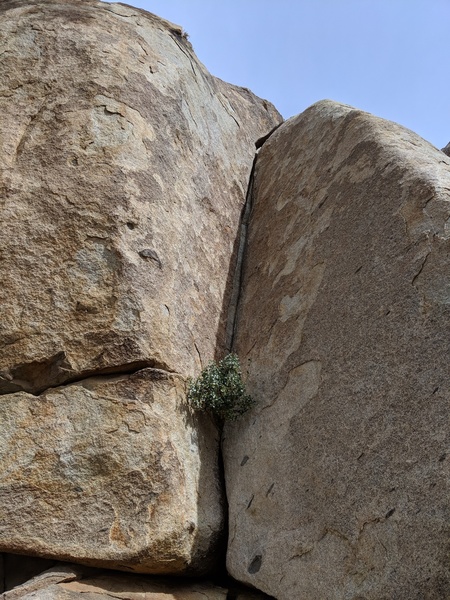Oh Pinyon Crack from the he base. Short but amazing!